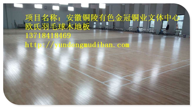 专业运动木地板,室内体育馆地板