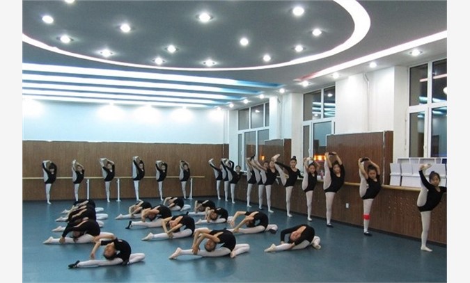舞蹈地板,舞蹈专用地板,专业舞蹈房地板
