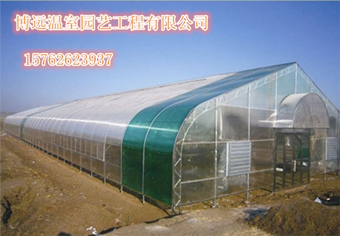 阳光板温室建设成本甘肃光伏大棚阳光板温室设备