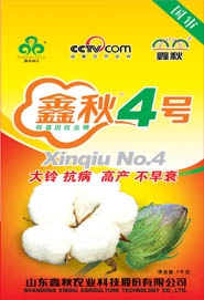 棉花种子鑫秋4号高产抗病棉花良种农作物种子经济作物种子