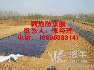 天津排水板厂家