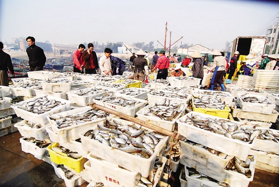 浙江哪里海鲜便宜_海鲜图片大全_海鲜疙瘩汤