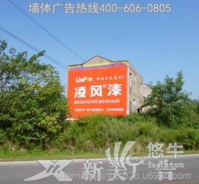 河南农村民墙广告