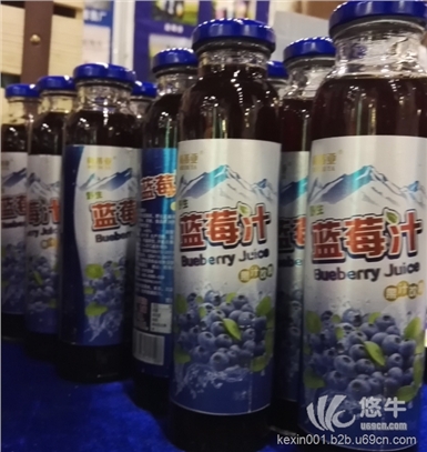 黑水蓝莓汁饮料设备|黑色矿泉水重新诠释水的定义
