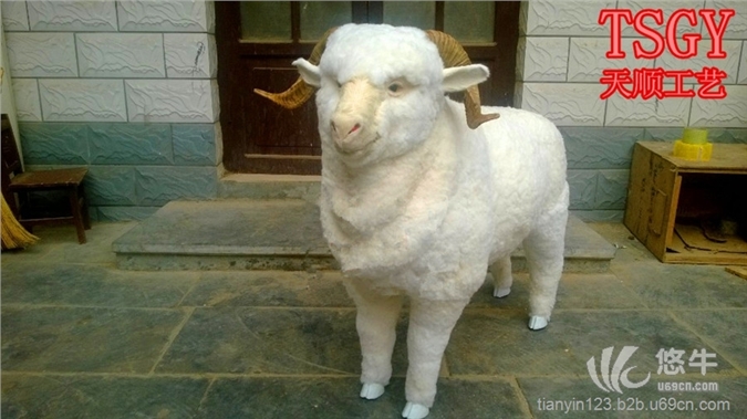 大绵羊模型图1