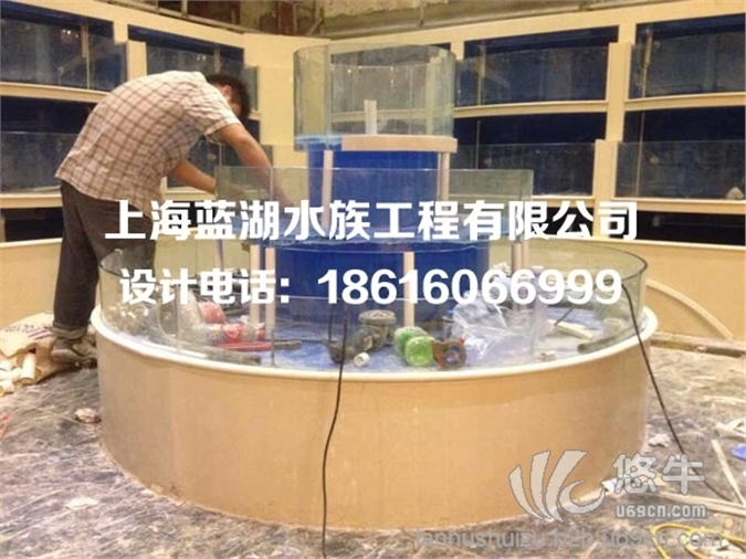 上海专业设计定做海鲜缸海鲜池贝壳冰台图1