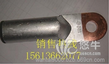 厂家直销钎焊接线端子DTL接线铜鼻子图1