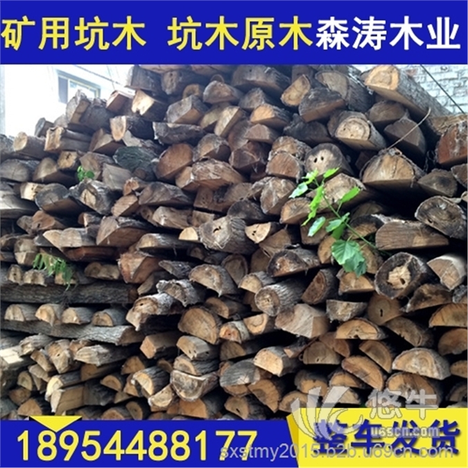 山东厂家直销落叶松板材高品质坑木欢迎来电咨询