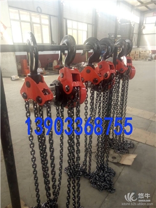 5吨环链电动葫芦价格-同步群吊电动葫芦生产厂家