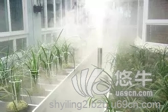 园林花卉大棚降温加湿器浇水设备高压微雾降温加湿器