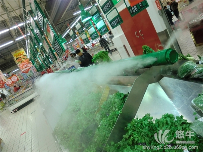 超市蔬菜货架喷雾机图1