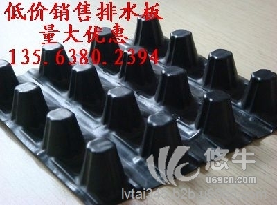 沧州达标塑料排水板-双面车库专用排水板厂家