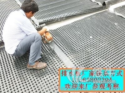 淄博枣庄塑料排水板--整体式排水板厂家欢迎您