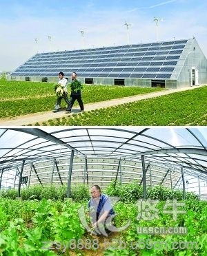 弘太阳河南光伏蔬菜大棚/太阳能分布式光伏并网发电站