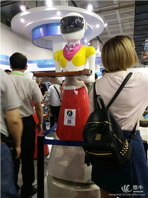 国际展示会-2017中国北京机器人展