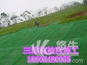 植草护坡专用EM3三维植被网垫