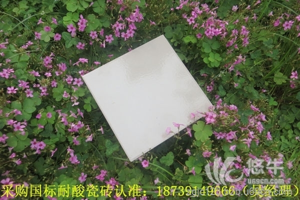 耐酸砖厂家广州市黄埔区中冠耐酸瓷砖零售图1