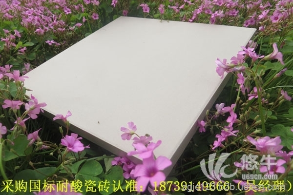 高质量耐酸砖生产厂家佛山禅城区专业生产厂家