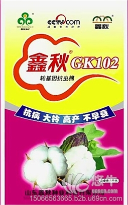 棉花种子鑫秋GK102高产抗病农作物新品种