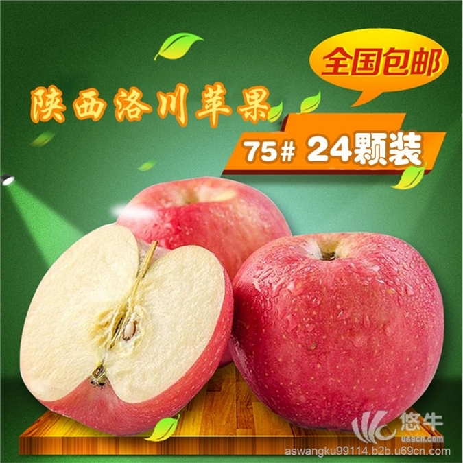 太苹盛事红遍中国陕西洛川苹果采购新鲜75mm水果价格优惠