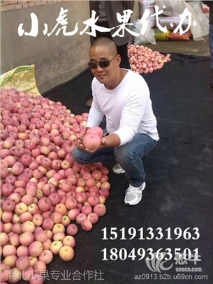 陕西苹果红富士苹果价格
