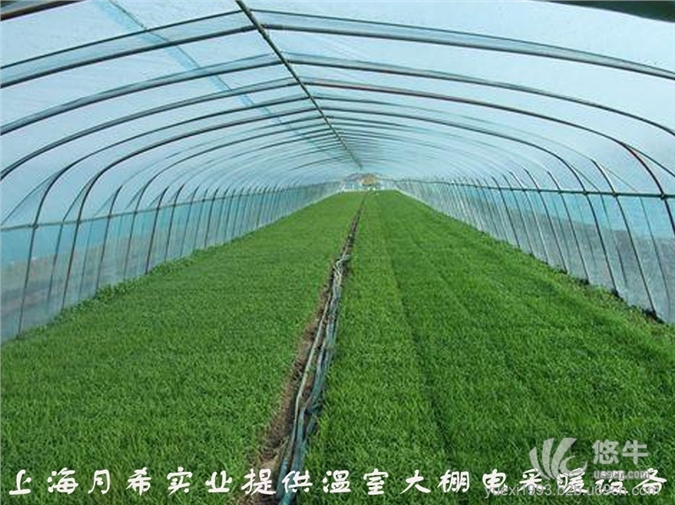 上海温室大棚地暖工程，花卉需采暖设备图1