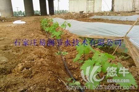 河北省地下水超采滴灌项目承接-滴灌管网产品