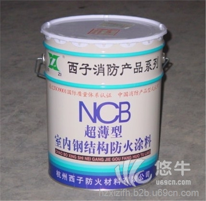 杭州西子防火涂料薄型NCB室内钢结构防火涂料图1