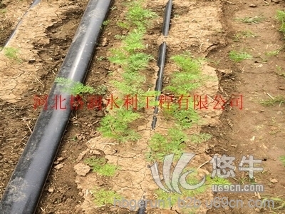 遵化防老化蔬菜滴灌设备--专业技术生产PE滴水带图1