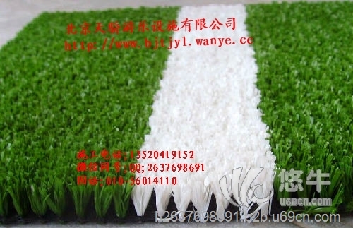 北京哪里人造草坪