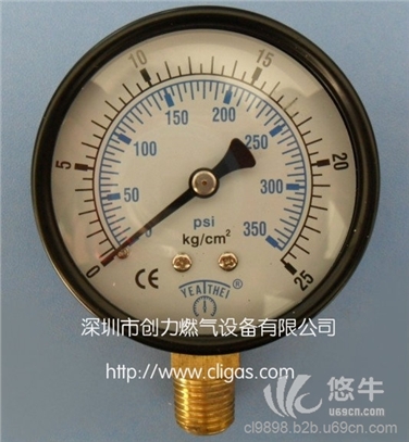 雅德30KG耐振充油压力表,25KG径向压力表