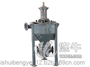 石水泵业AF型泡沫泵