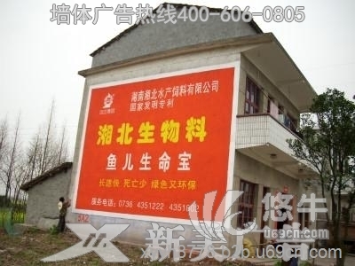 湖南湘西农村墙体广告、户外刷墙广告、乡村民墙广告图1