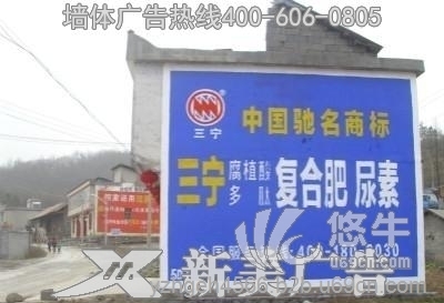 湖南永州墙体广告、刷墙广告、墙面广告图1