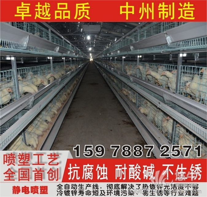 中州牧业养鸡设备