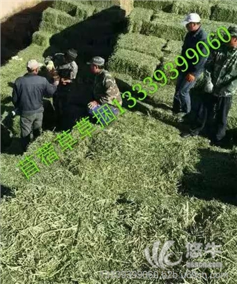 甘肃宁夏地区苜蓿草厂家直销苜蓿草干草价格