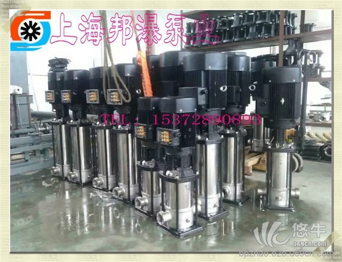 立式轻型多级泵,100CDL45-30图1