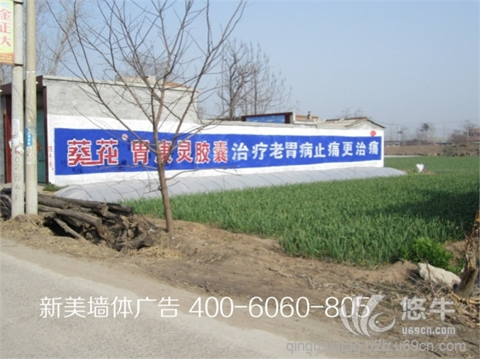 青海农村墙标广告图1
