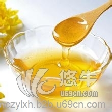 蜂蜜进口上海报关操作流程