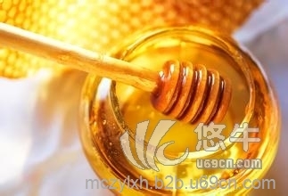 德国蜂蜜进口上海报关代理