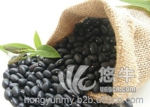 黑豆专业进口黑豆质量保证