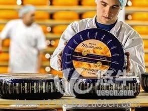 奶酪|黄油进口报关注意事项及操作流程