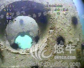水下高清网络摄像机，水下环境调查，水质参数监测