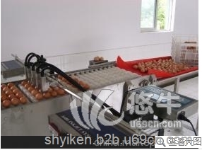 上海多喷头食品鸡蛋喷码机