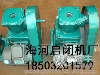武冈QL-2*100KN-SD双吊点手电两用螺杆启闭机价格