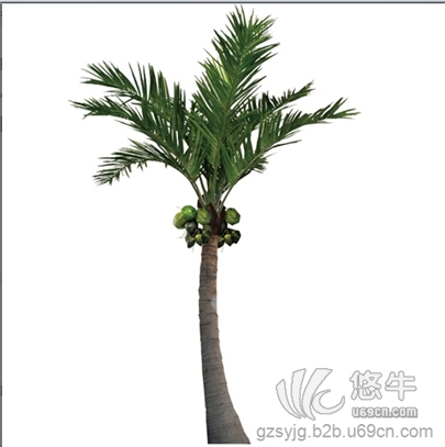 仿真椰子树小型塑料仿真椰子树路灯仿真椰子树