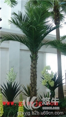 大叶仿真棕榈树定制店仿真椰子树盆栽人造棕榈树系列