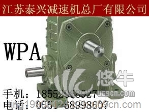 江苏泰兴牌WPA40/50-30-A蜗轮蜗杆减速机
