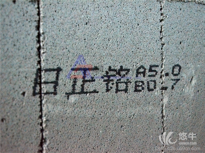 上海典码水泥砖喷码机图1