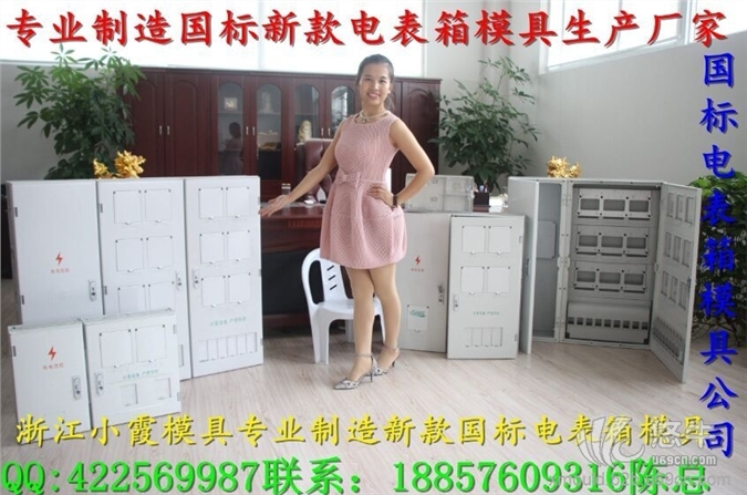 浙江专做注塑模具，8表电表箱塑胶模具，注射电表箱外壳模具价格图1